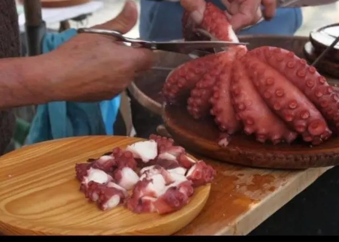 Piso Centro 산신소