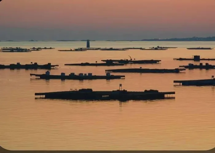 Piso Centro * 산신소